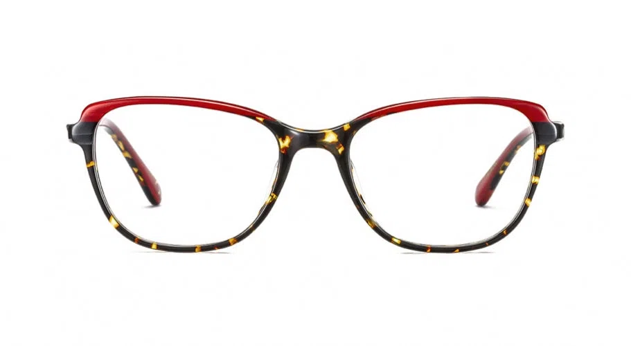 Etnia Barcelona NOTRE DAME P. Eyeglasses - view 29